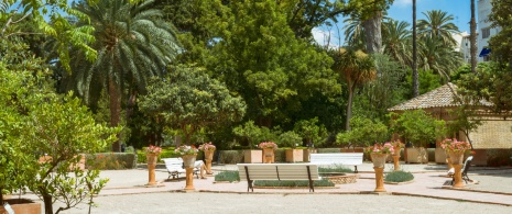 Detalle del Jardín Botánico de Valencia
