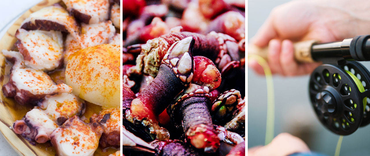 Collage de experiencias gastronómicas en Galicia