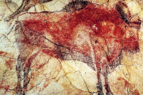 Peinture de bison dans la grotte d